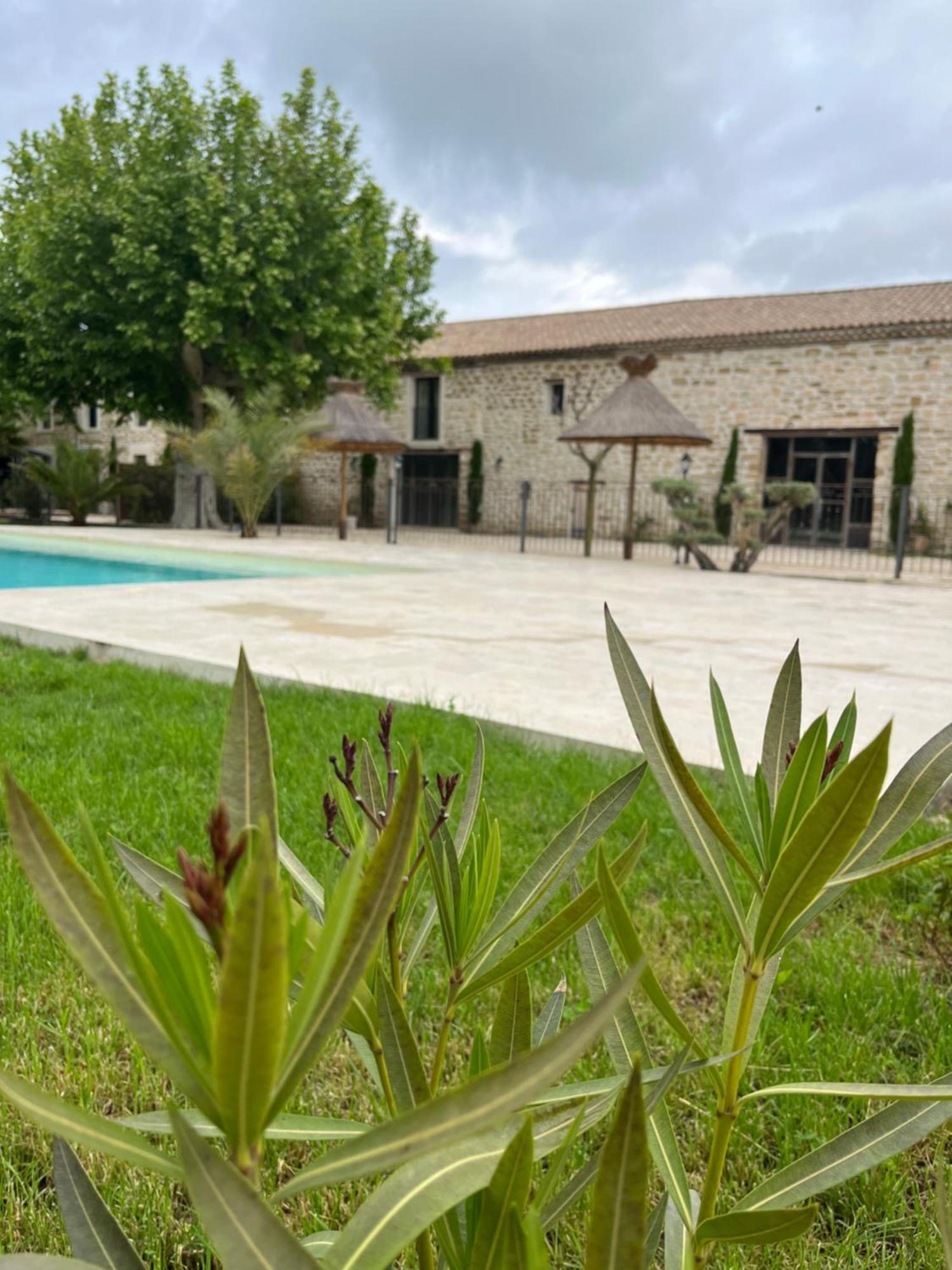 Le Mas Mila Monteux Exterior photo