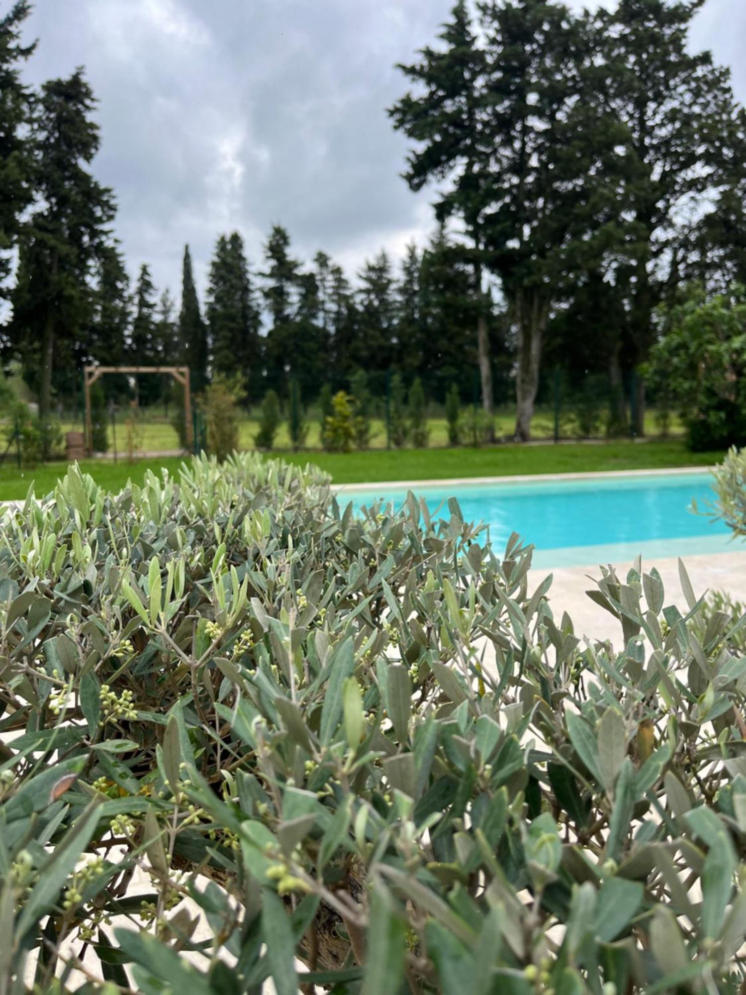 Le Mas Mila Monteux Exterior photo