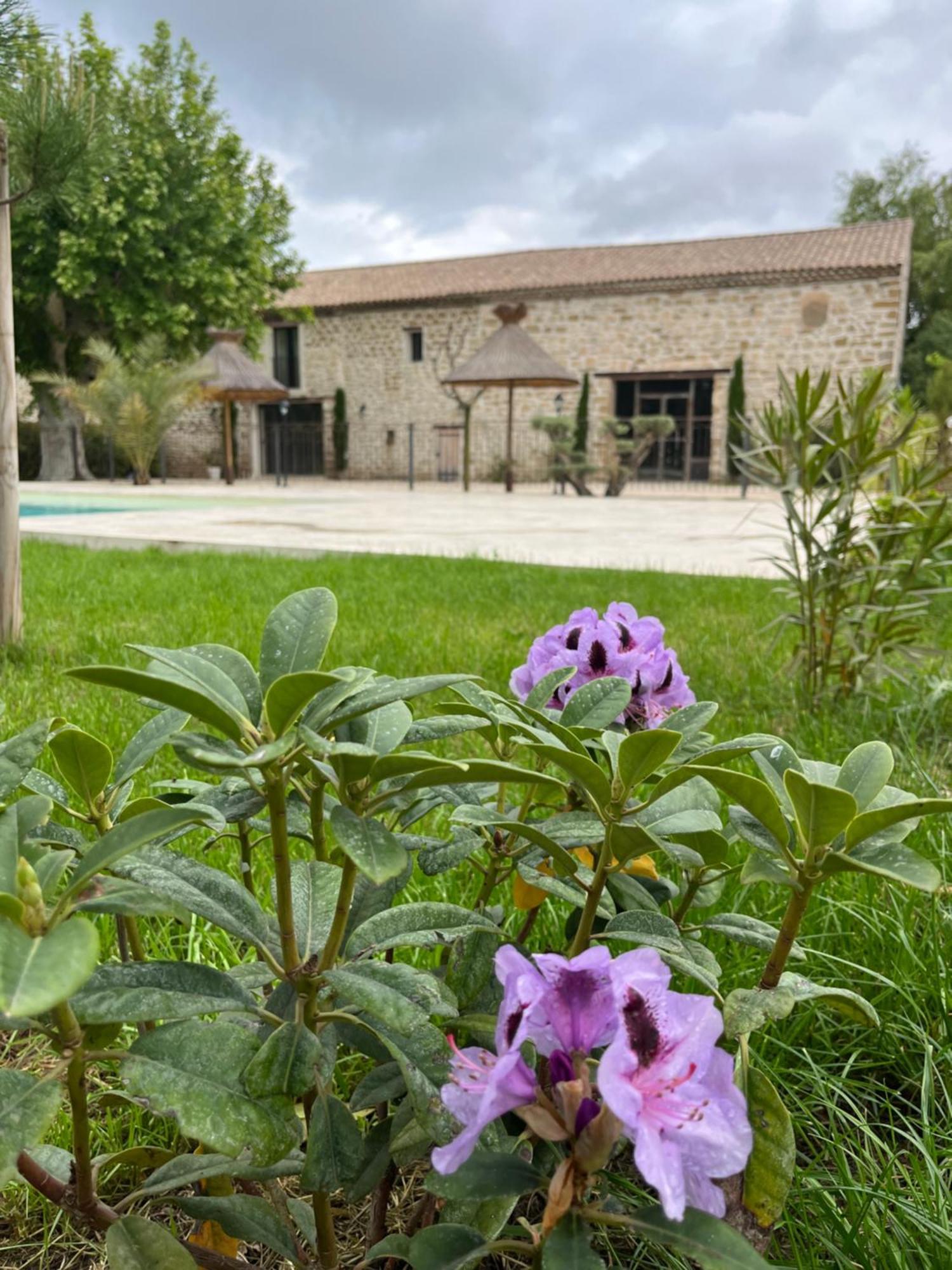 Le Mas Mila Monteux Exterior photo