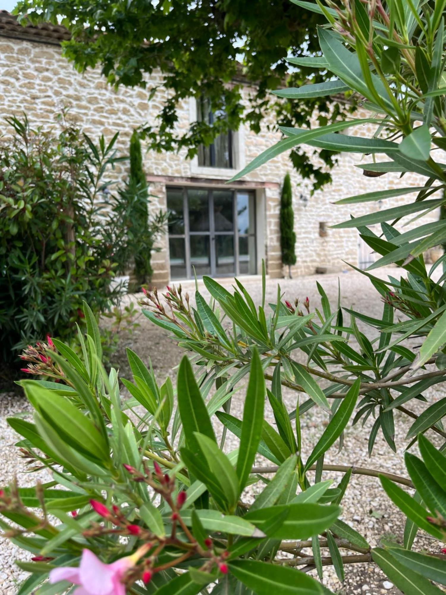Le Mas Mila Monteux Exterior photo